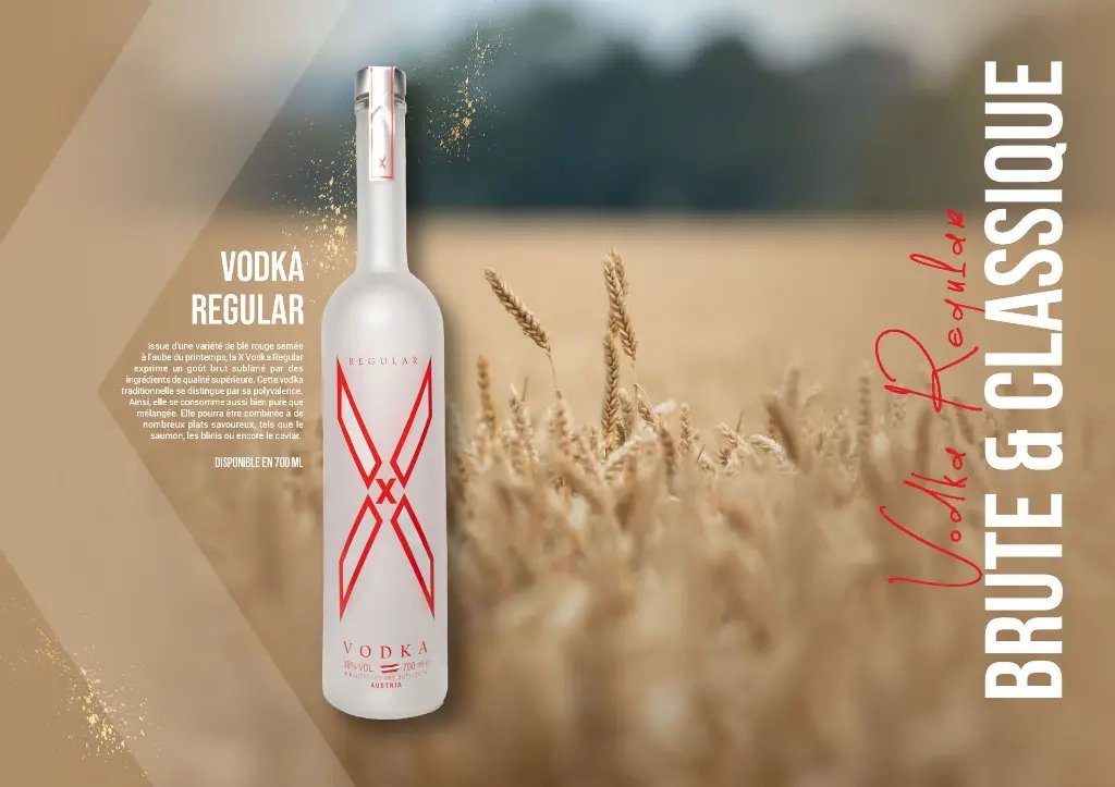 sccom23-catalogue-x-vodka_Page_4.webp