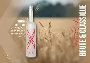 sccom23-catalogue-x-vodka_Page_4.webp