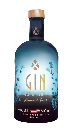X GIN
